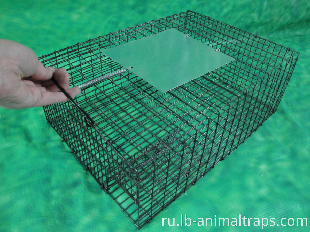 Animal Trap Cage For Sale